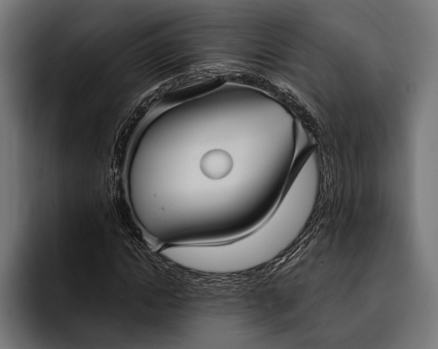 X0000093110822200710101020