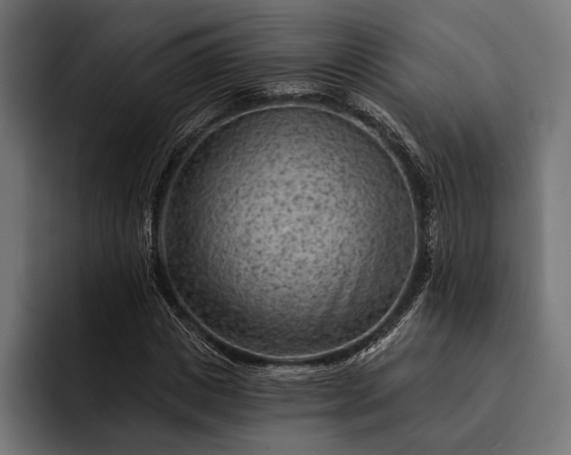 X0000093110825200710101020