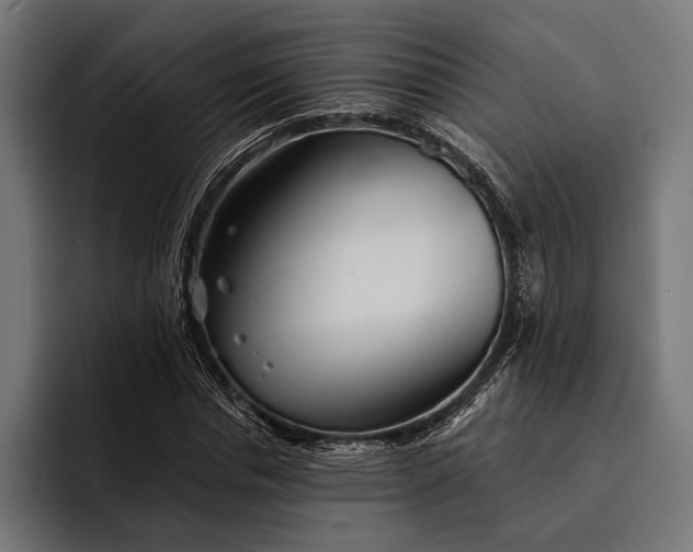 X0000093110826200710101020