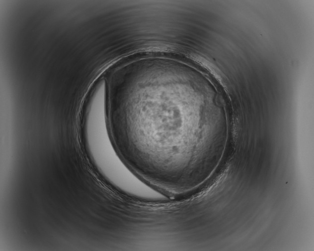 X0000093110829200710101020