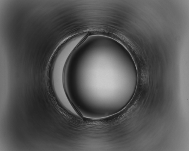 X0000093110830200710101020