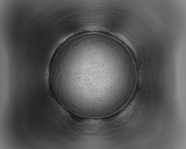 X0000093110831200710101020