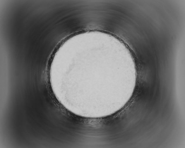 X0000093110832200710101020