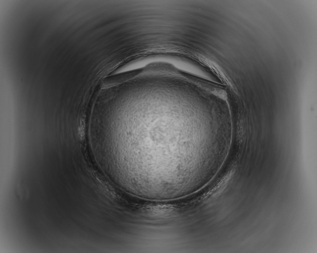 X0000093110833200710101020