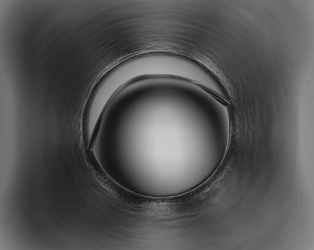 X0000093110834200710101020