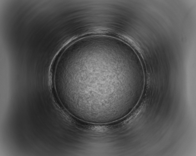 X0000093110835200710101020