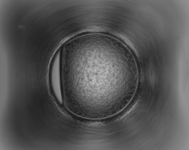 X0000093110837200710101020