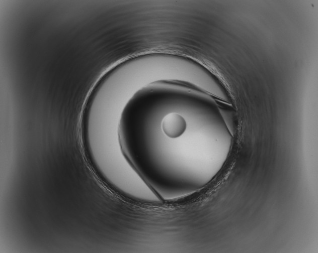 X0000093110838200710101020