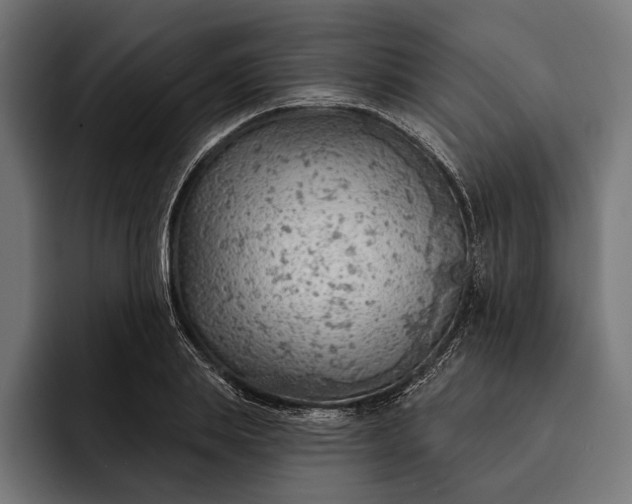 X0000093110839200710101020