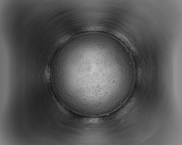 X0000093110841200710101020