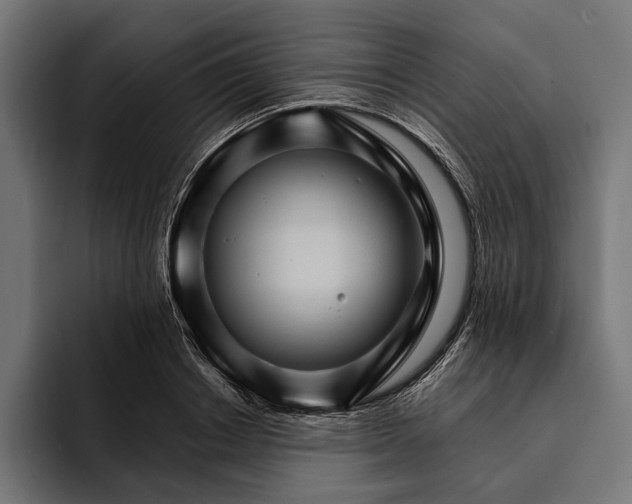 X0000093110842200710101020