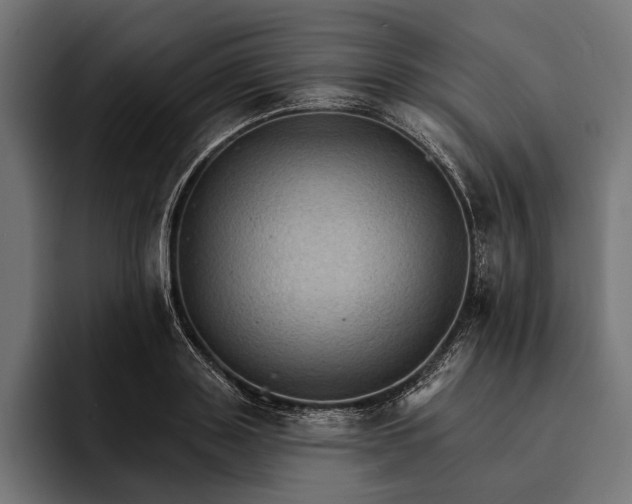 X0000093110843200710101020