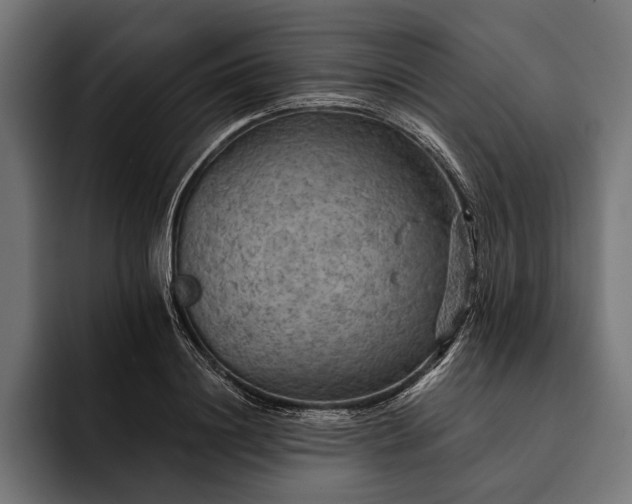 X0000093110844200710101020