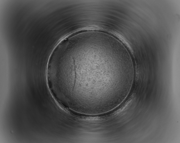 X0000093110845200710101020