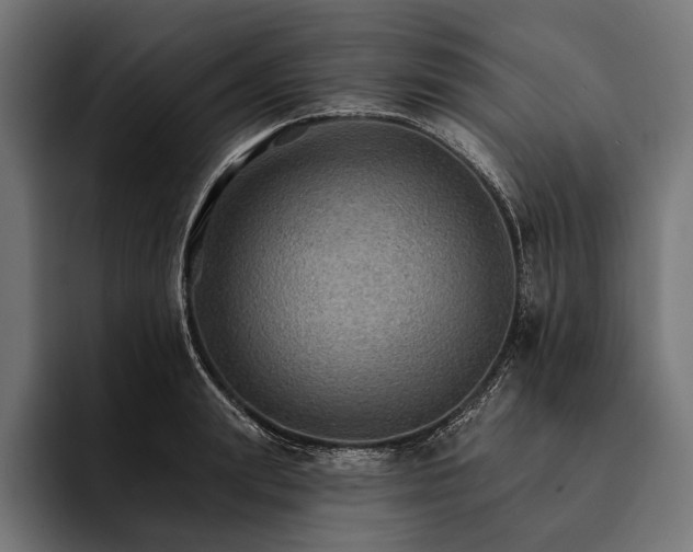 X0000093110847200710101020