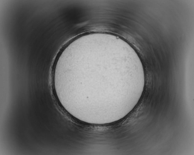 X0000093110848200710101020