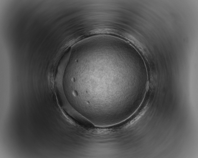 X0000093110849200710101020