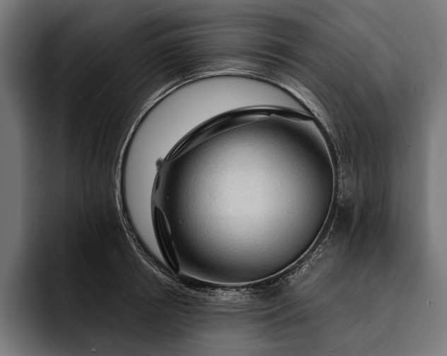 X0000093110850200710101020