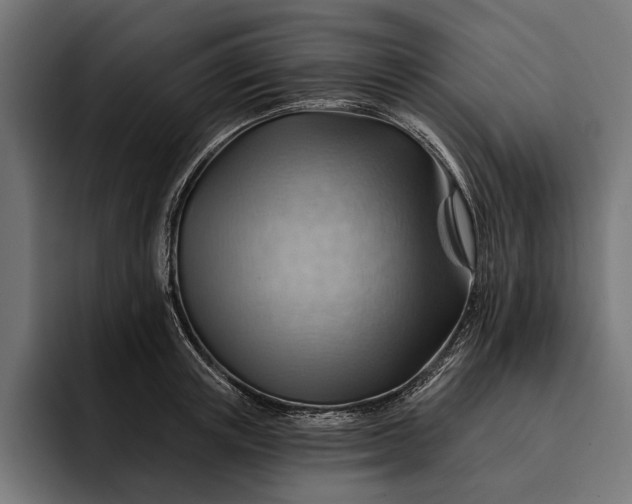 X0000093110851200710101020