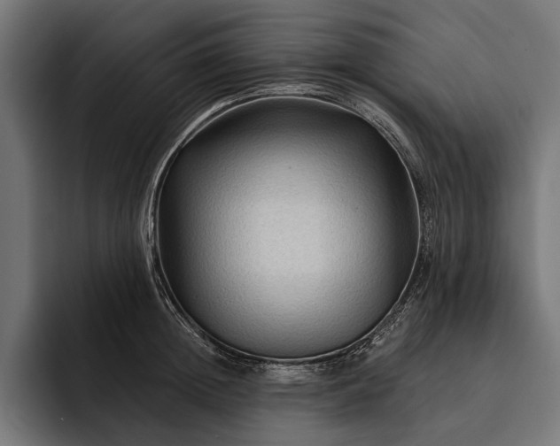 X0000093110852200710101020