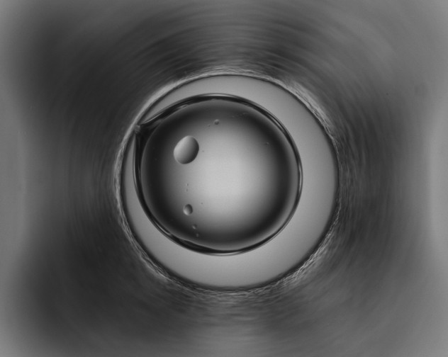 X0000093110854200710101020