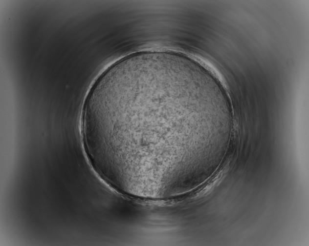 X0000093110855200710101020