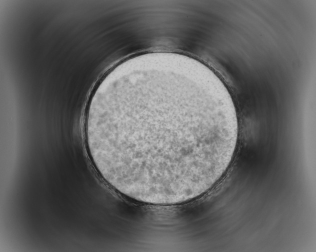 X0000093110856200710101020