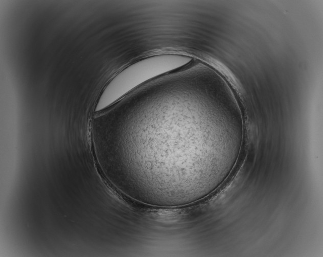 X0000093110857200710101020