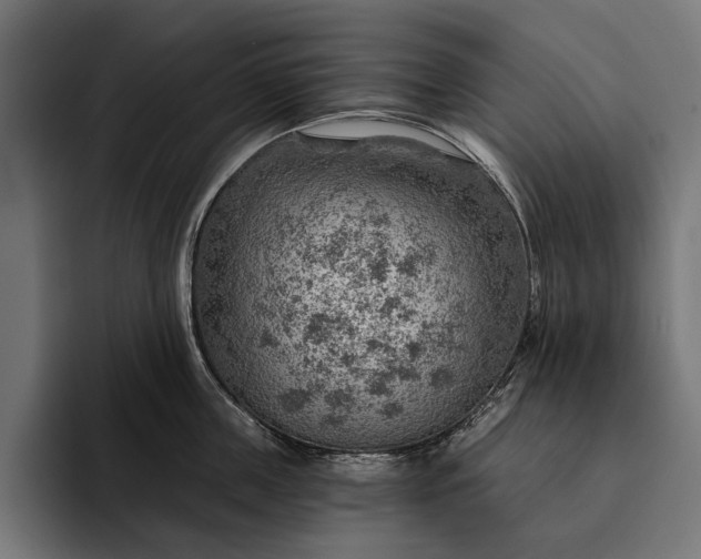 X0000093110859200710101020