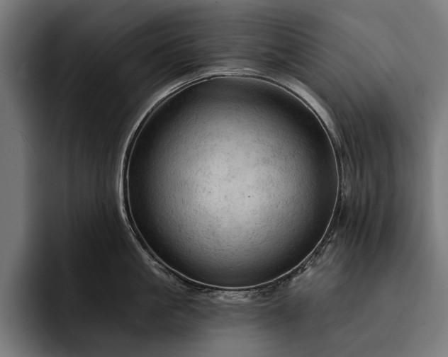 X0000093110861200710101020