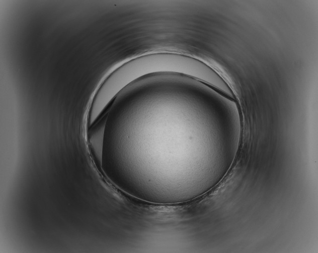 X0000093110862200710101020