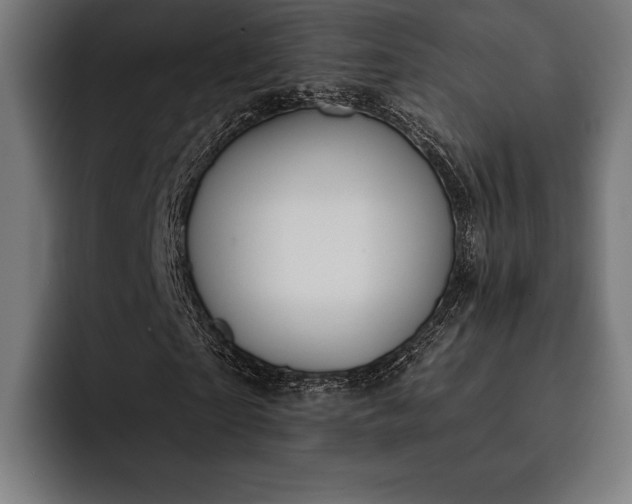 X0000093110865200710101020