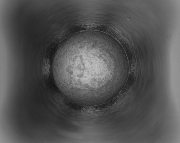 X0000093110866200710101020