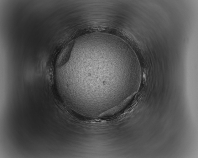 X0000093110867200710101020