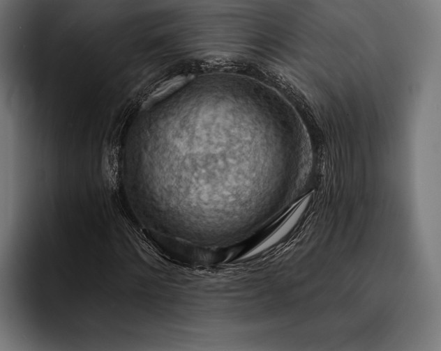 X0000093110868200710101020