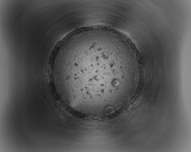 X0000093110871200710101020