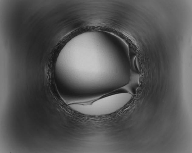 X0000093110872200710101020