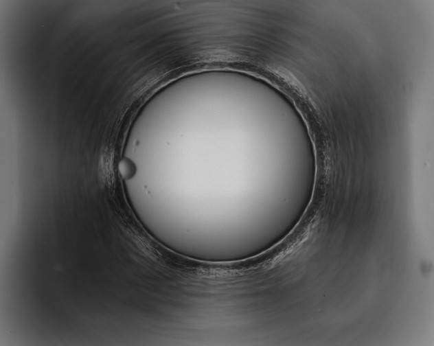 X0000093110873200710101020