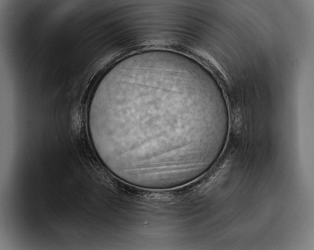 X0000093110874200710101020