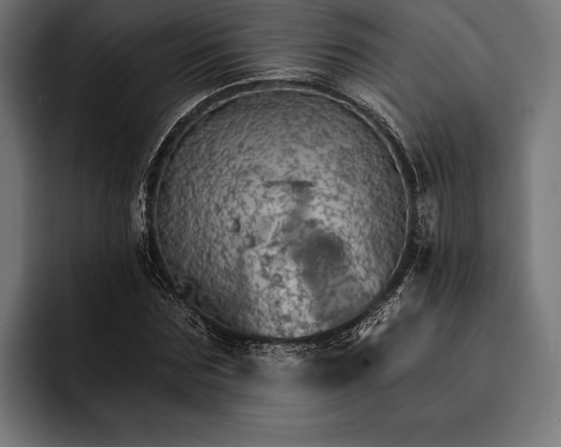 X0000093110875200710101020