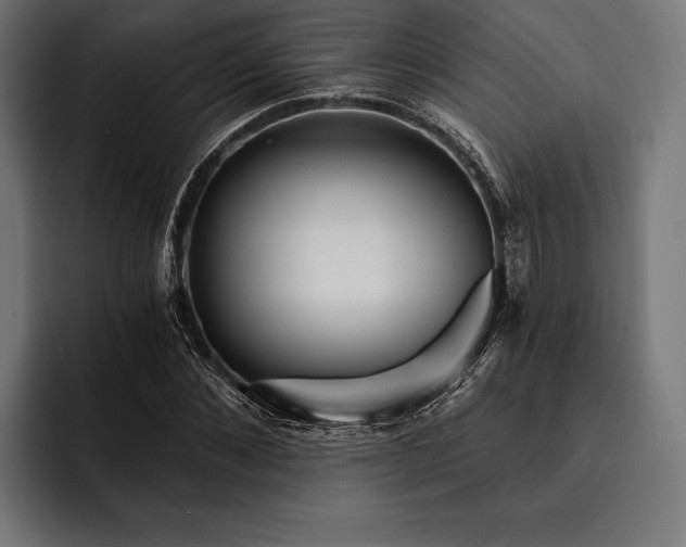 X0000093110876200710101020