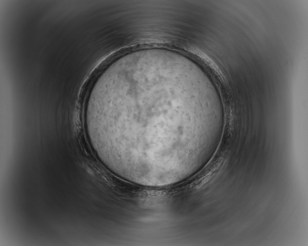 X0000093110878200710101020