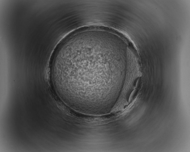 X0000093110879200710101020