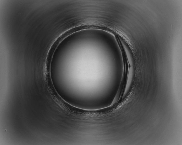 X0000093110880200710101020