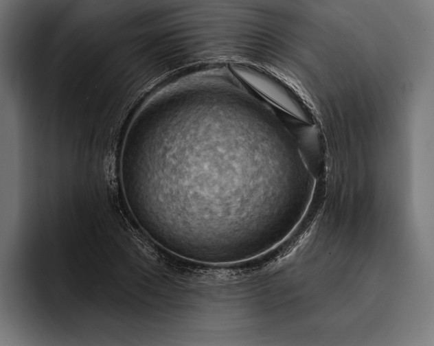 X0000093110881200710101020