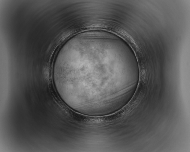 X0000093110882200710101020