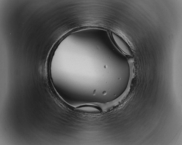 X0000093110884200710101020