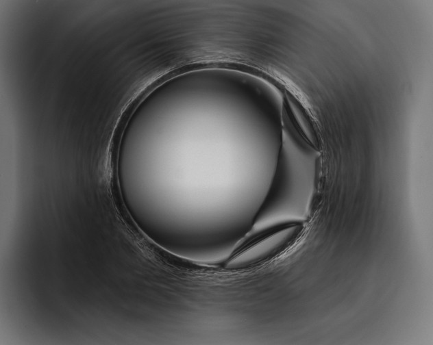 X0000093110885200710101020