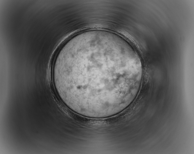 X0000093110886200710101020