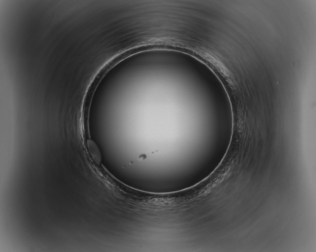 X0000093110888200710101020